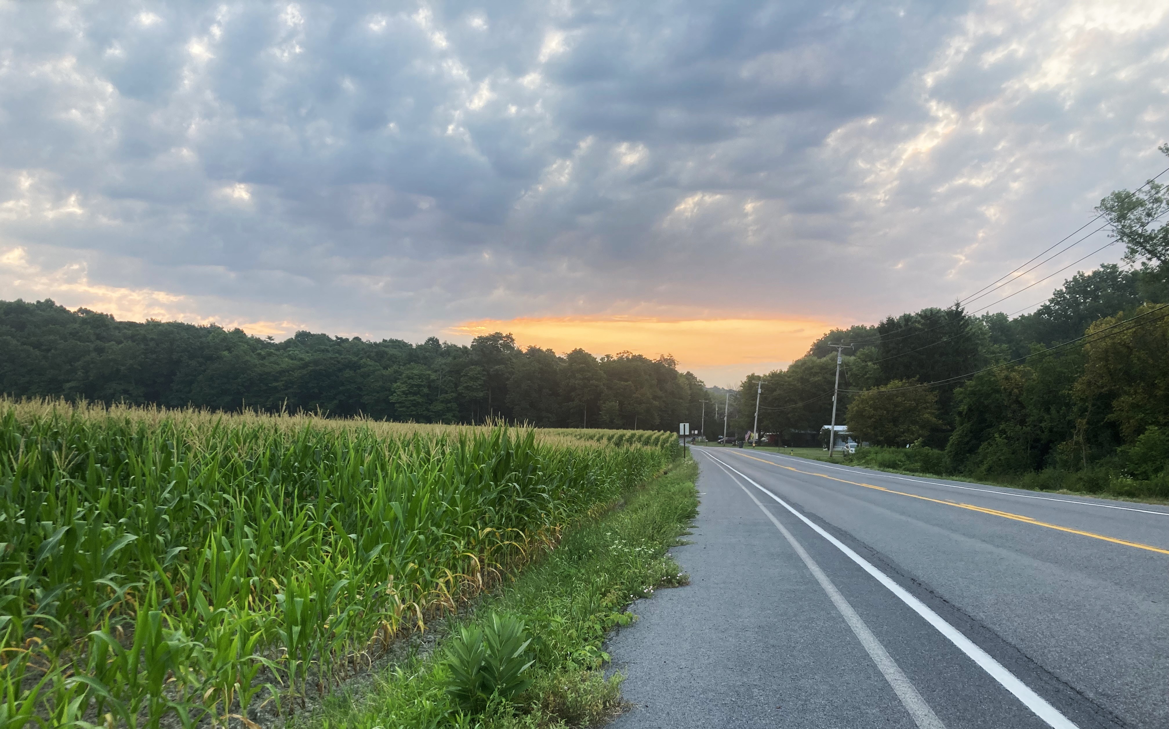 Sunset on Garnsey Road, leaving Palmyra