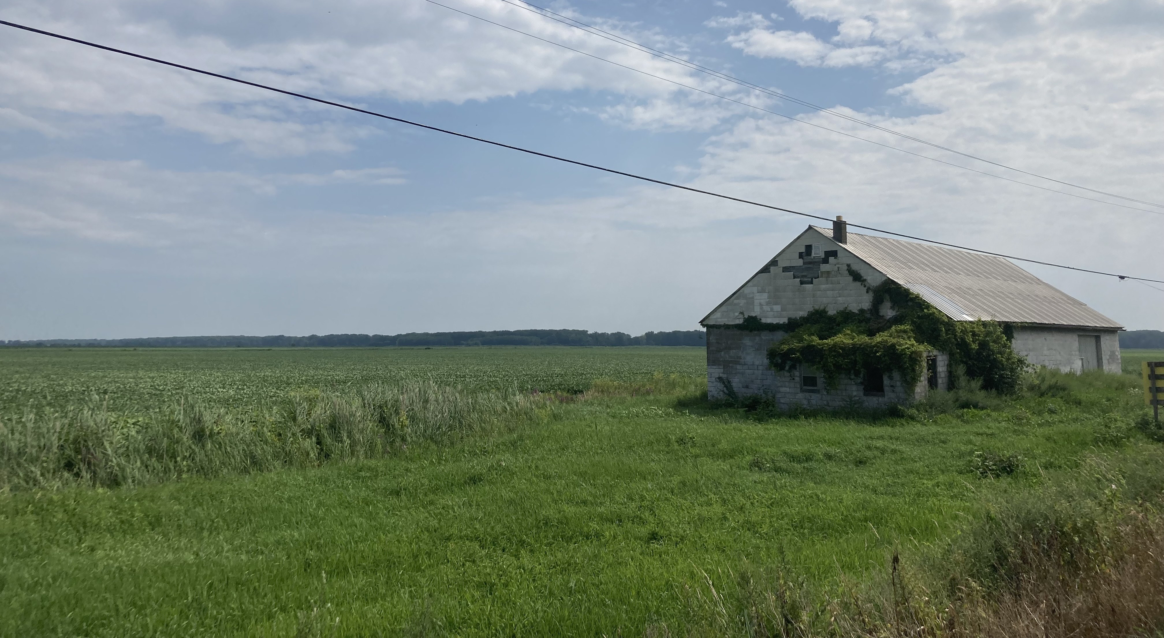 Building covered in ivy, Montezuma