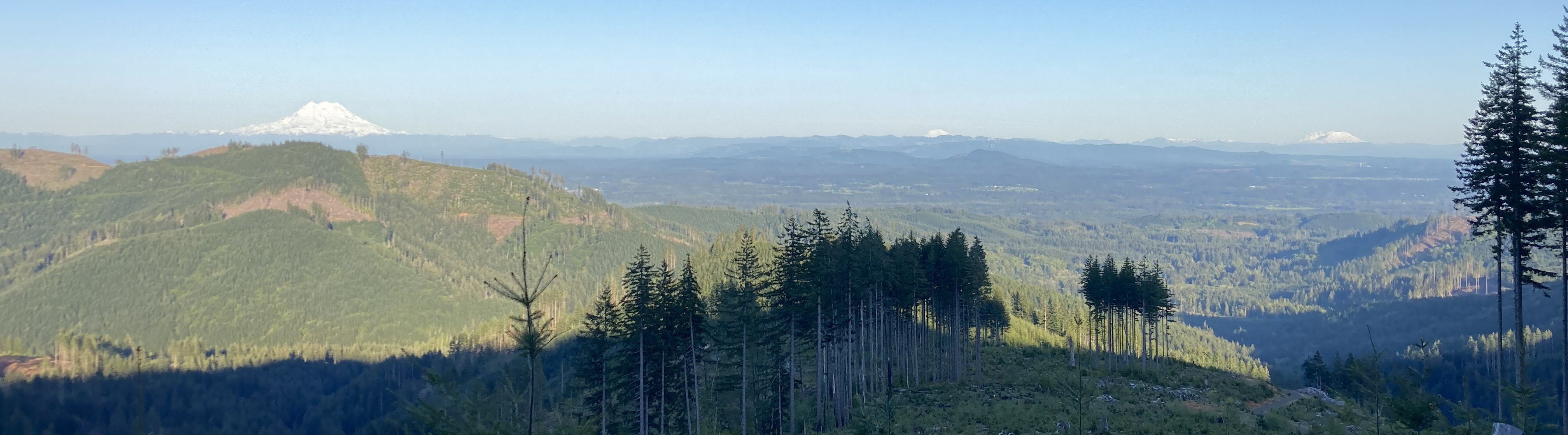View of Reinier, Adams, and Mount Saint Helens