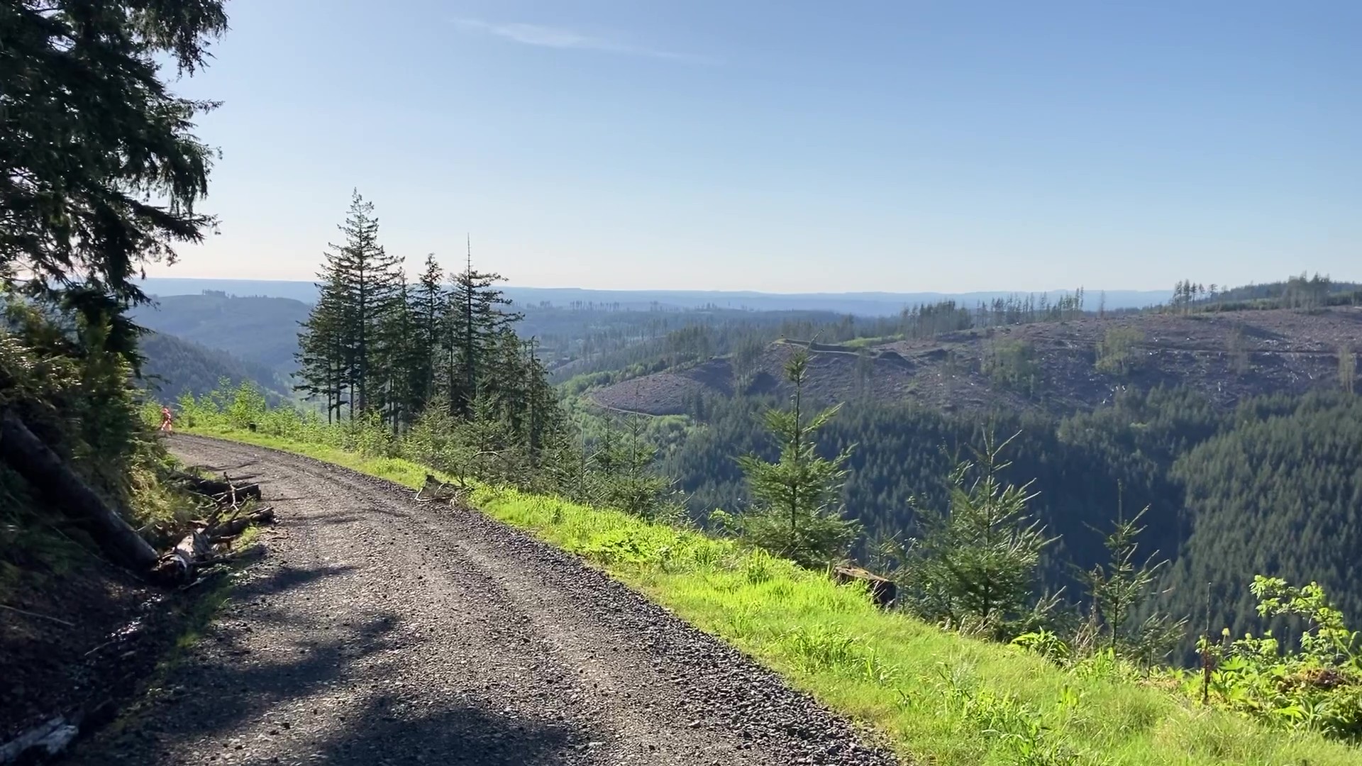 View westward from Capitol State Forest