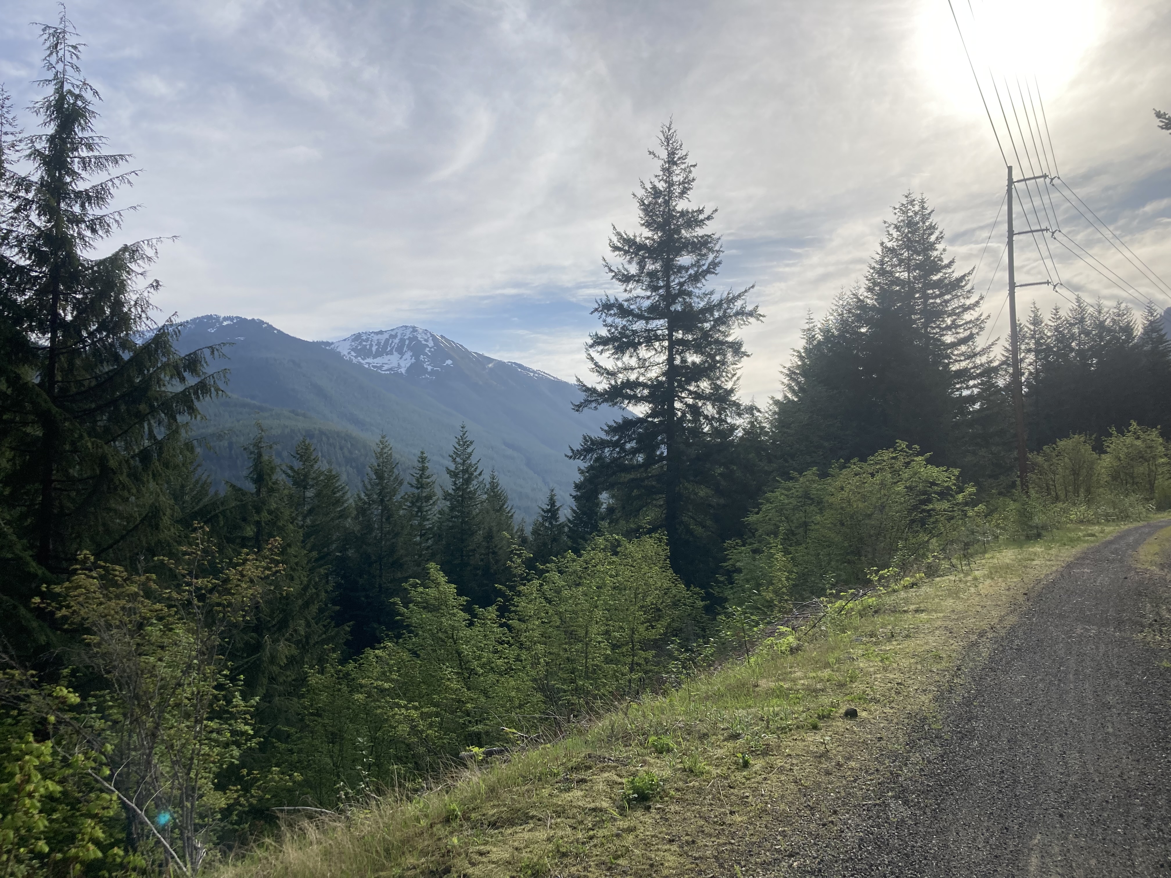 Morning in the Cascades