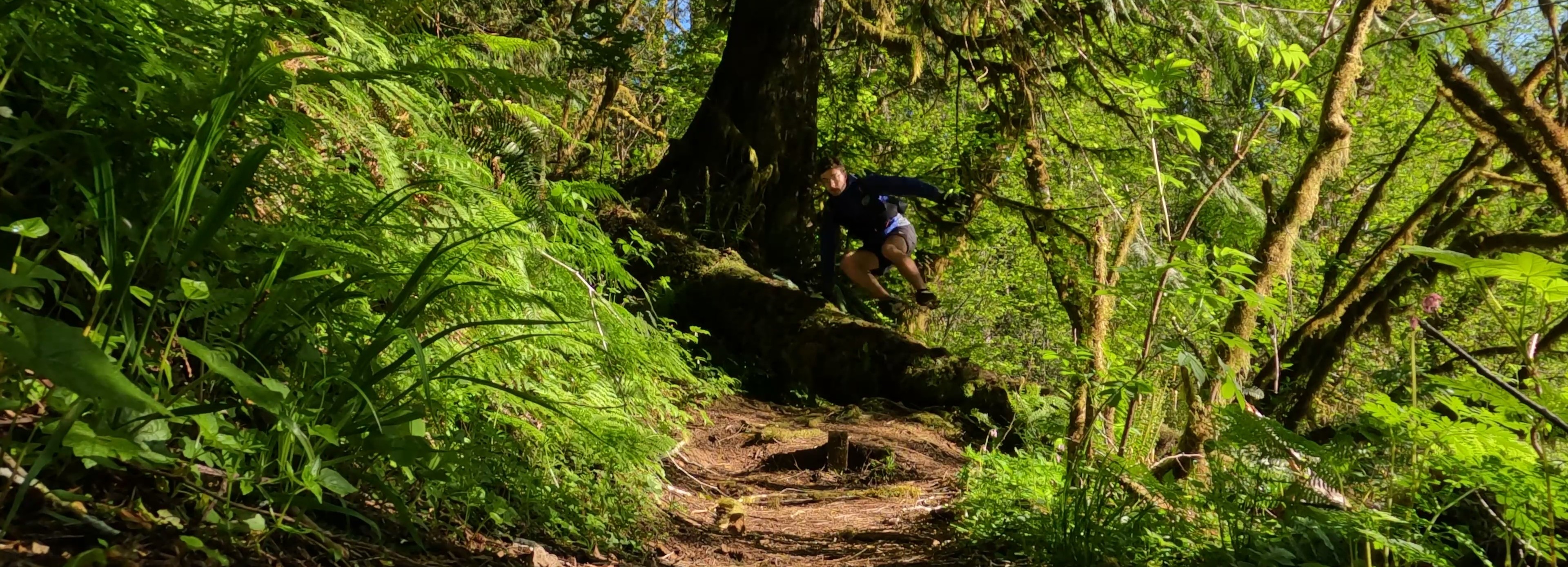 Log jump on the Sylvia Creek Forestry Trail