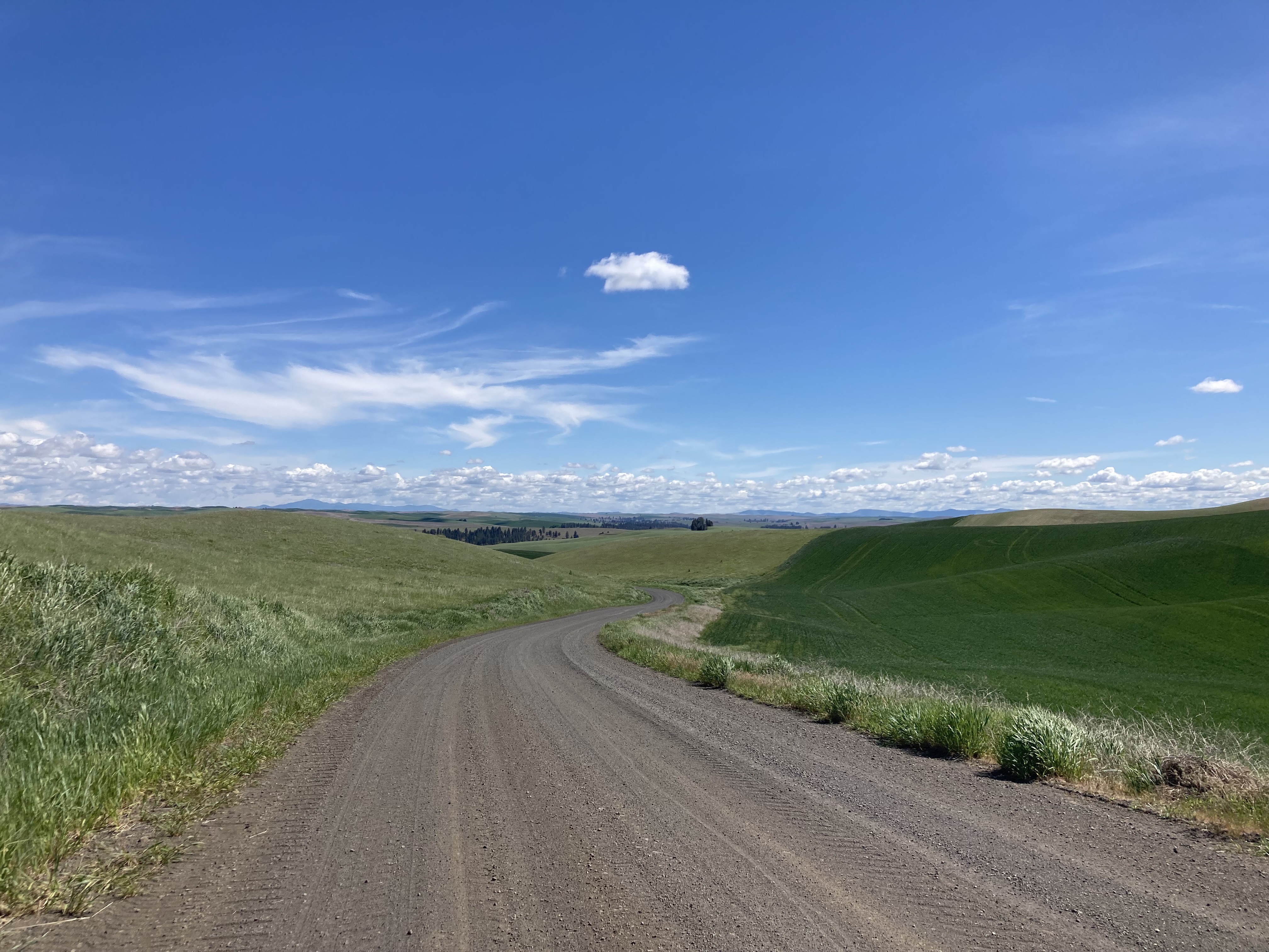 View of Pine City in the distance
