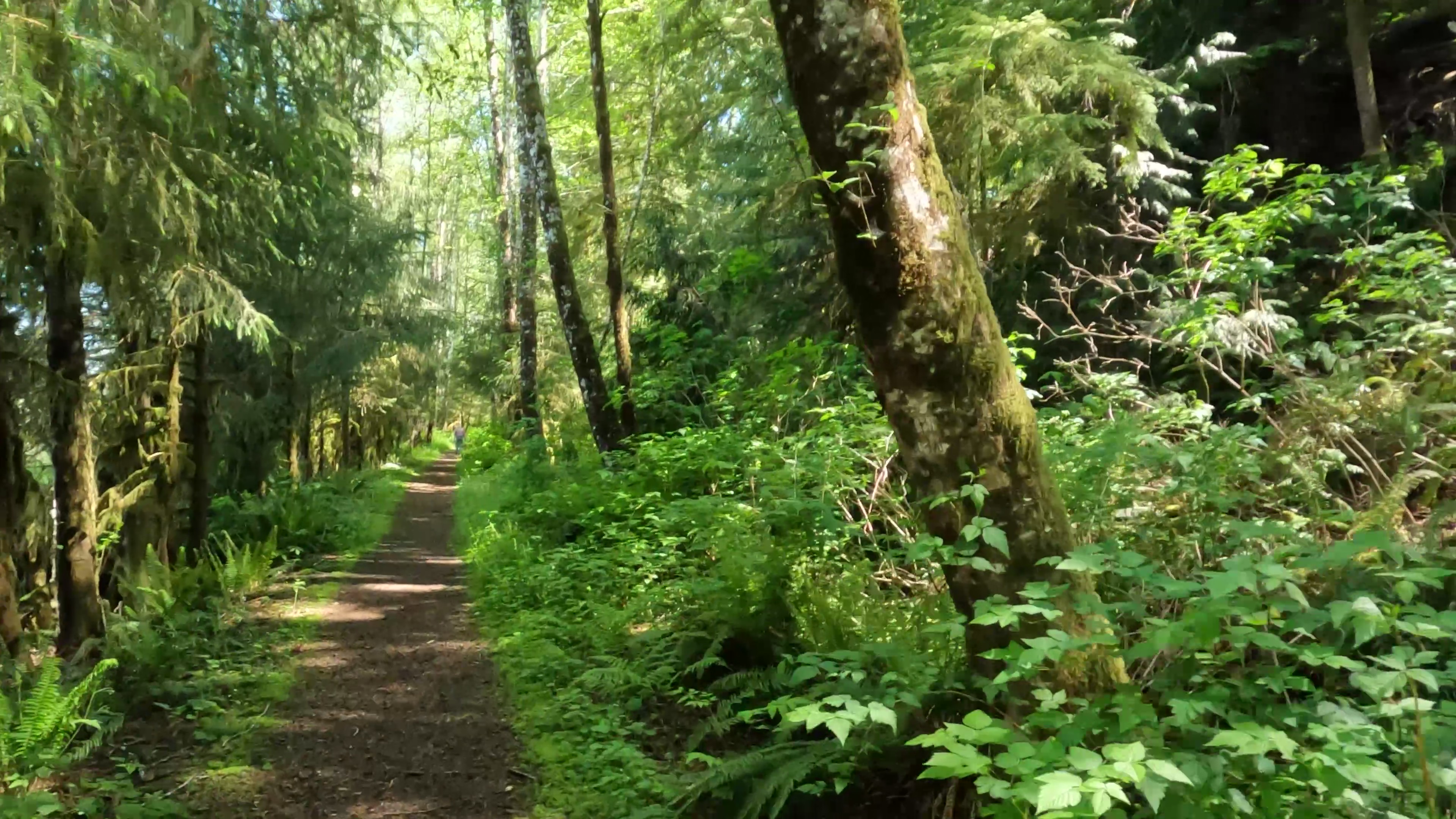 Preachers Slough Trail