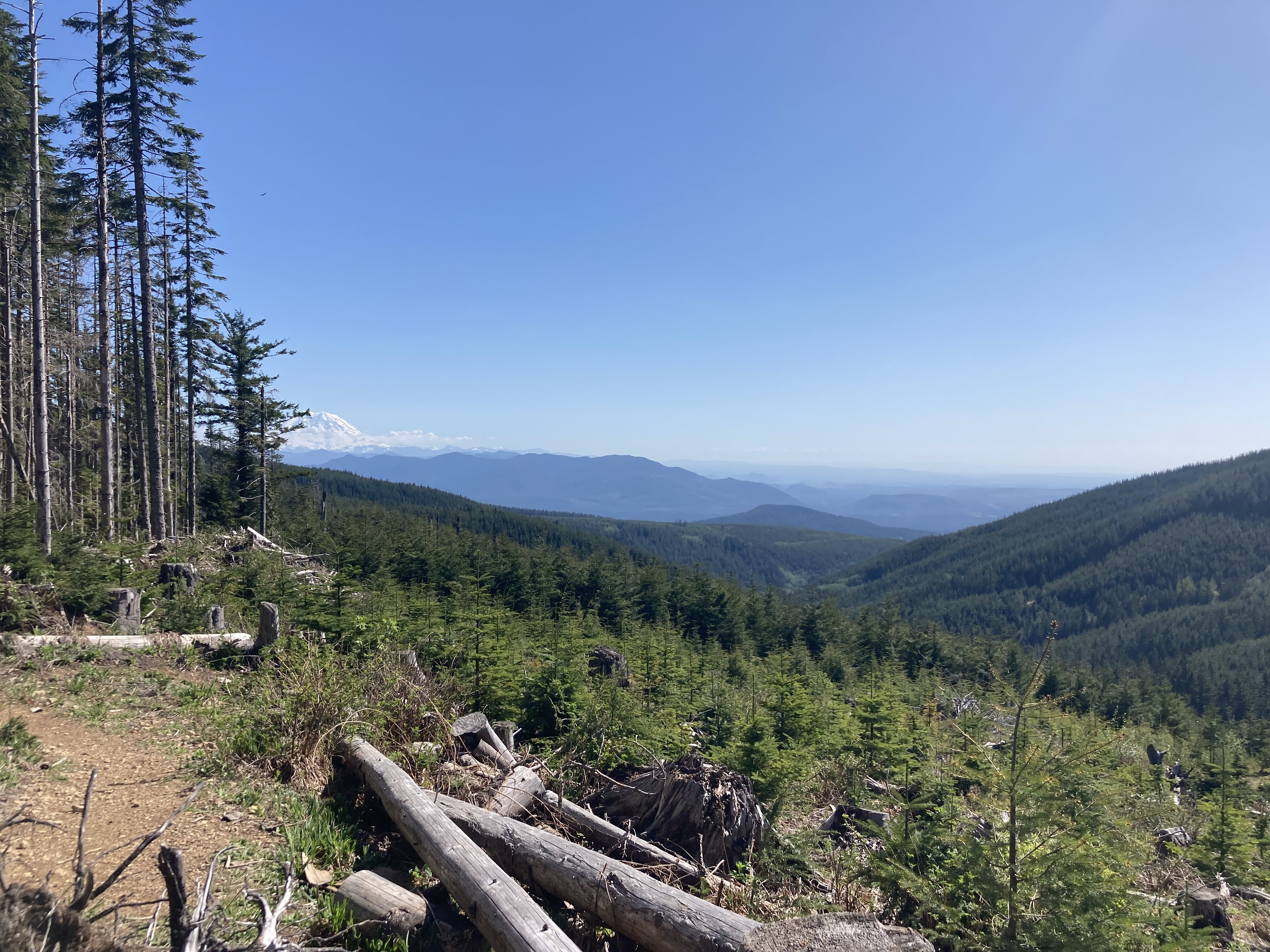 View of Reinier from Rattlesnake Ridge