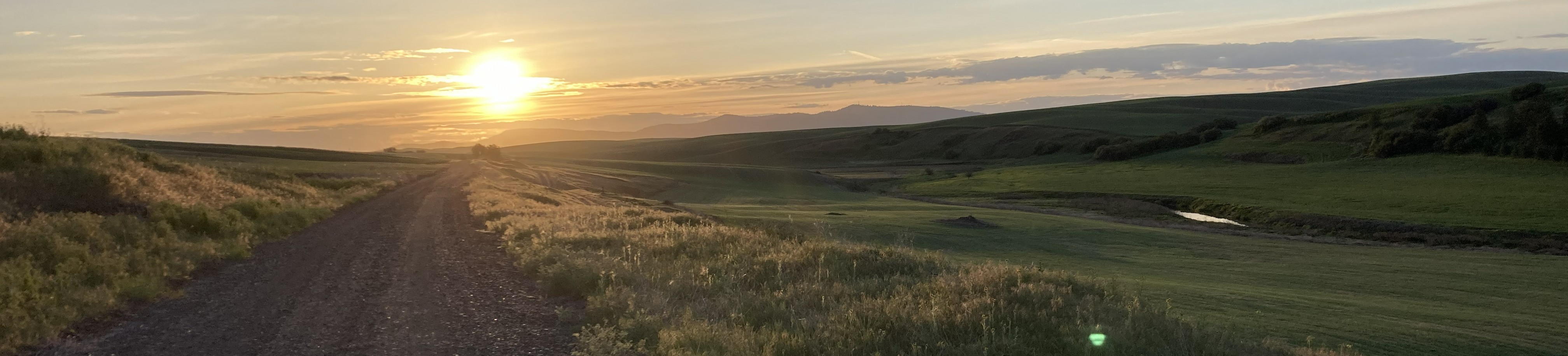 Morning on the Palouse-Cascades Trail near Rosalia